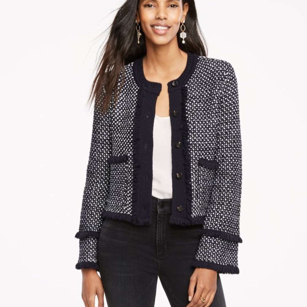Ann Taylor Knit Fringe Sweater